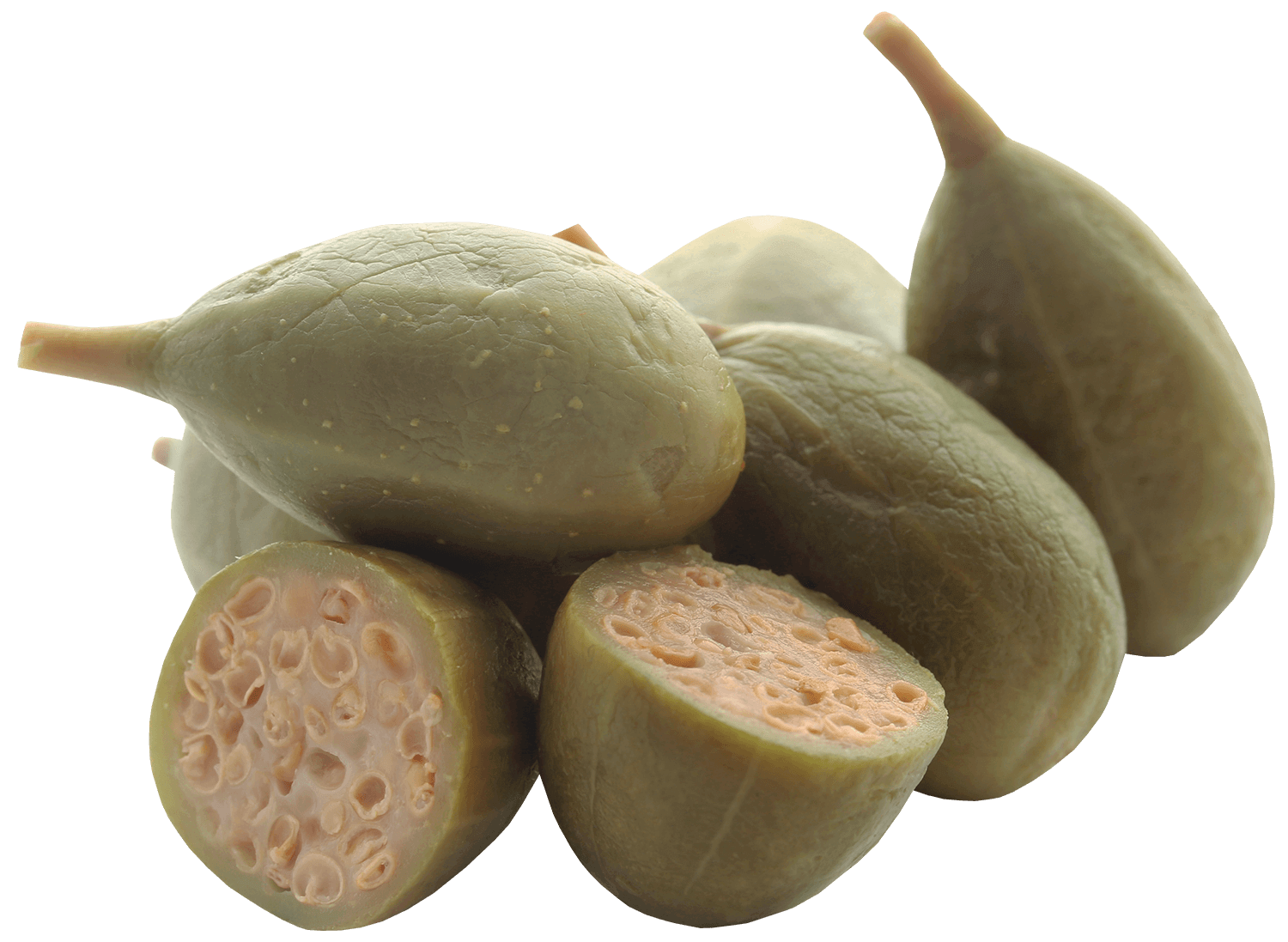 CAPPERI