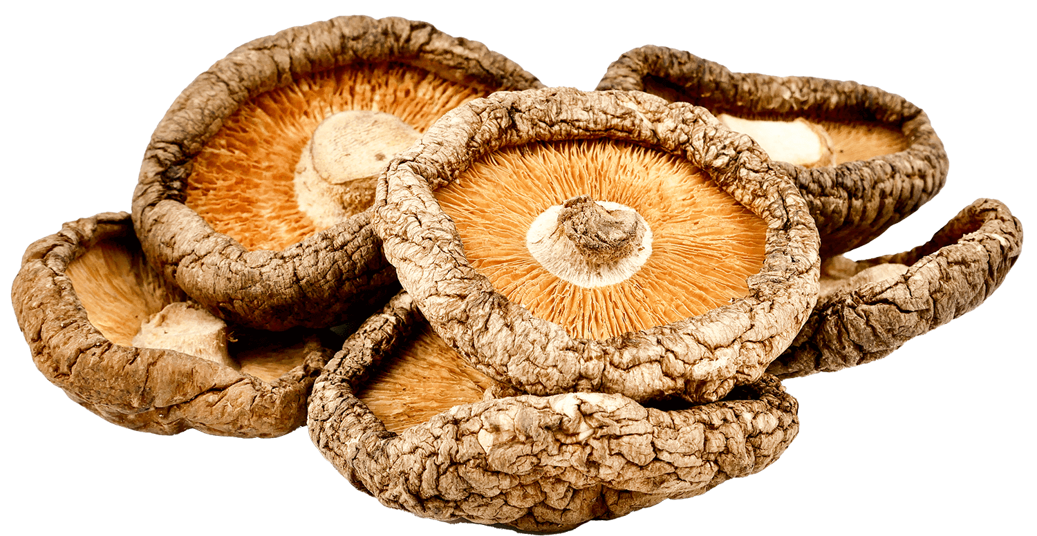 FUNGHI SHIITAKE