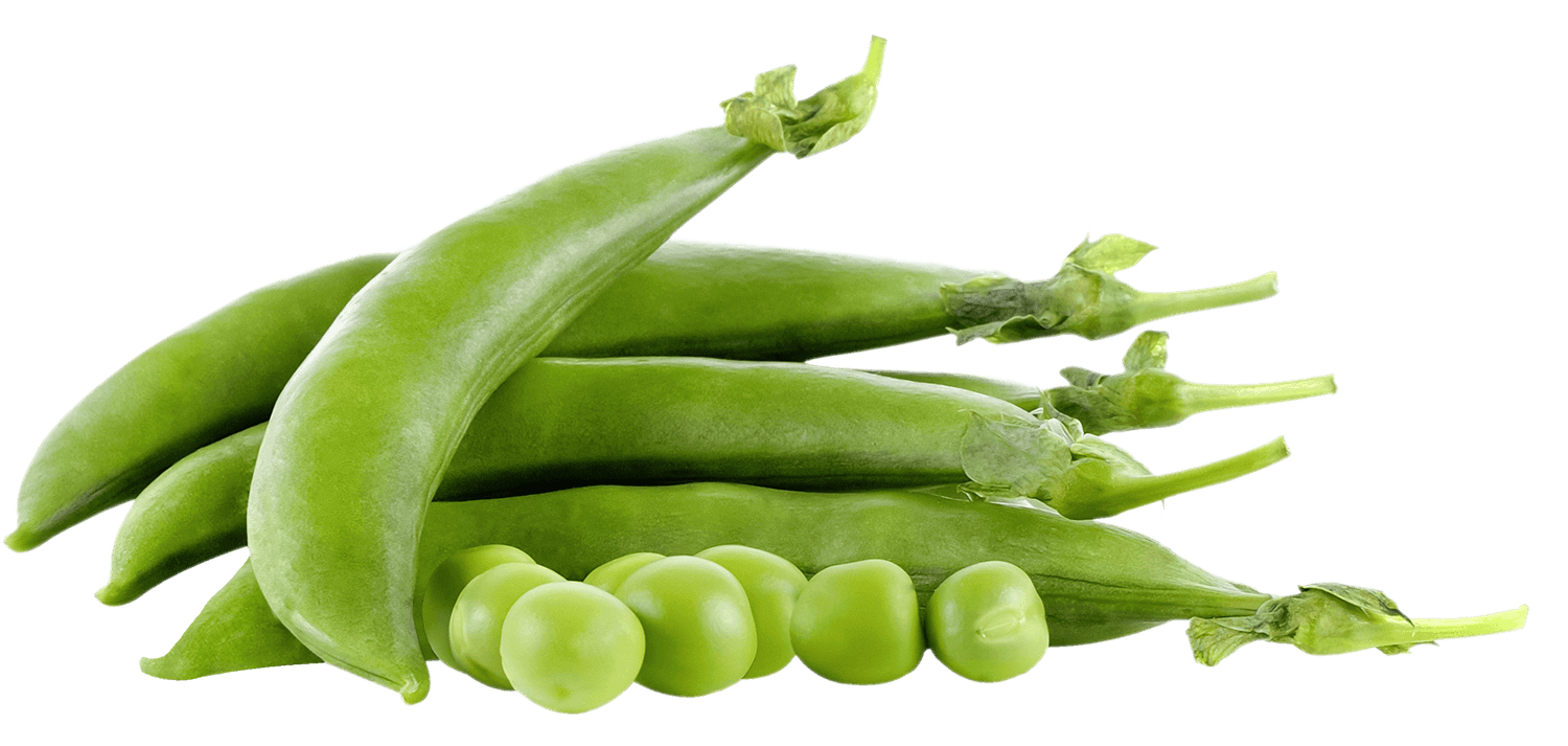 Piselli