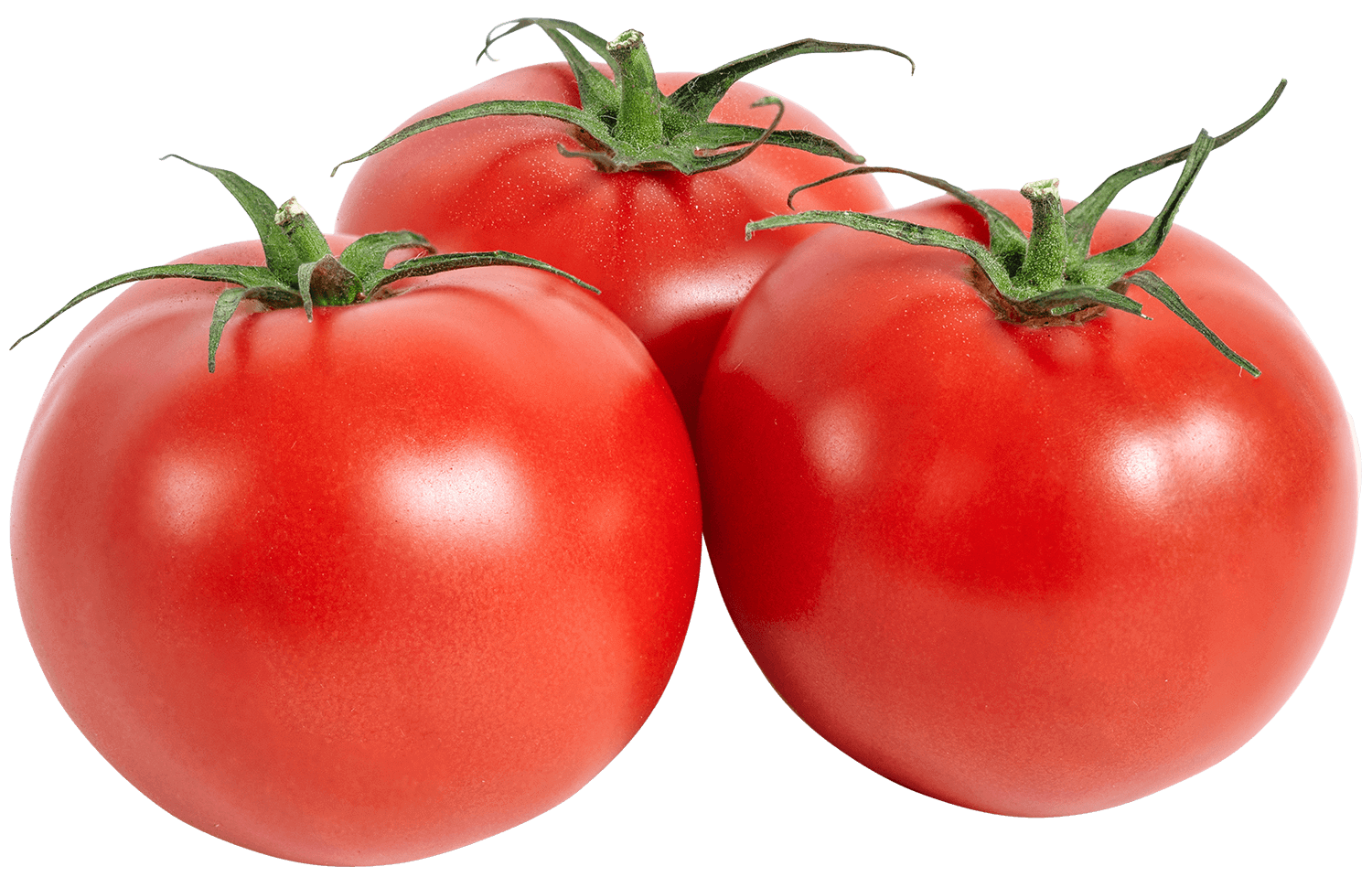 Pomodori