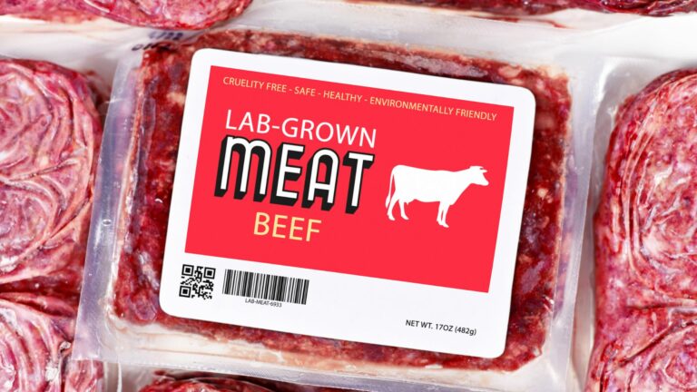 LA CARNE “COLTIVATA” È DAVVERO IL FUTURO?